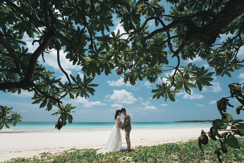 美しいビーチに自然も♪