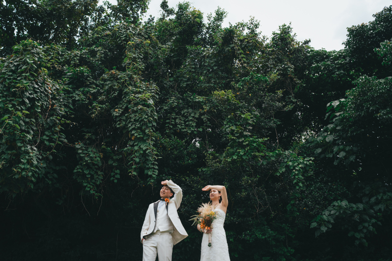 空を見上げるシーン♪