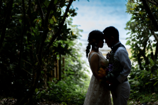 美しい海と森のロケーションフォト