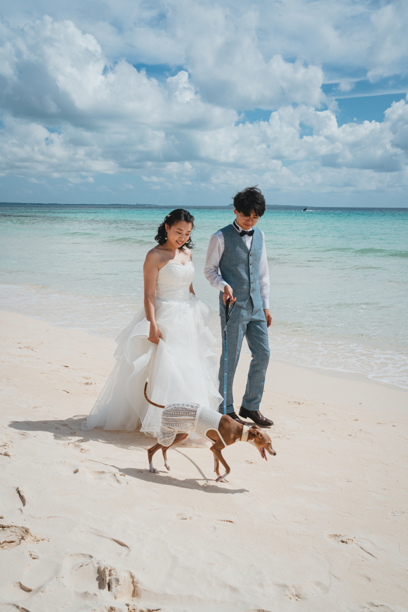 お散歩しながら♪