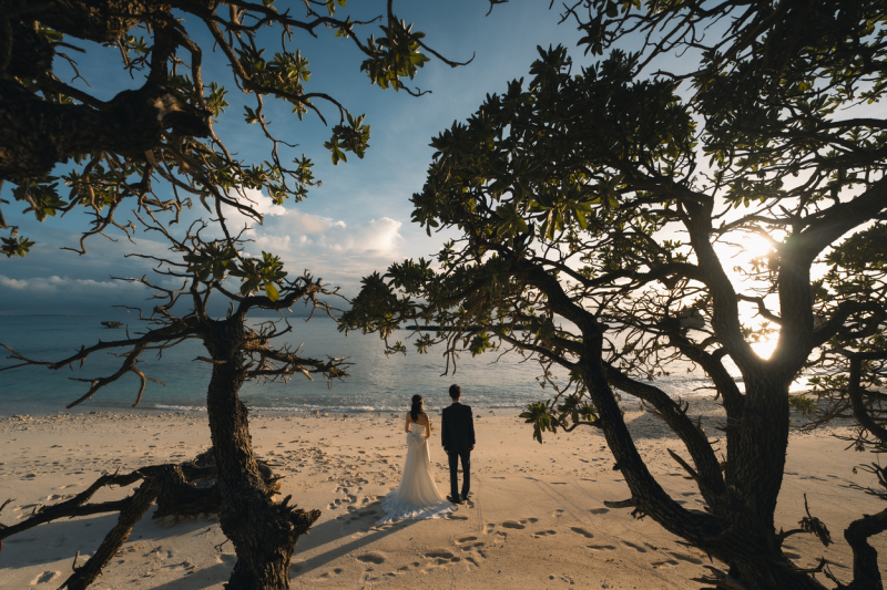 木立に囲まれて