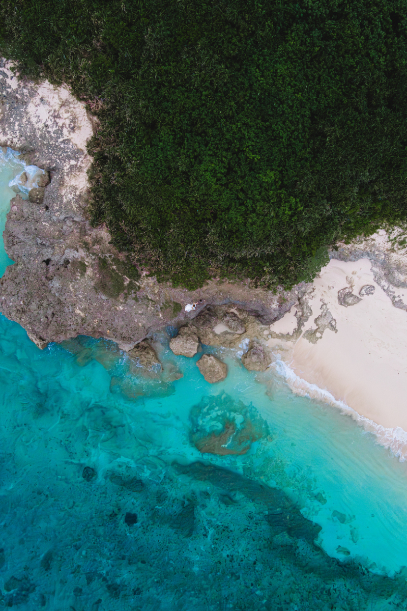 ドローンから！