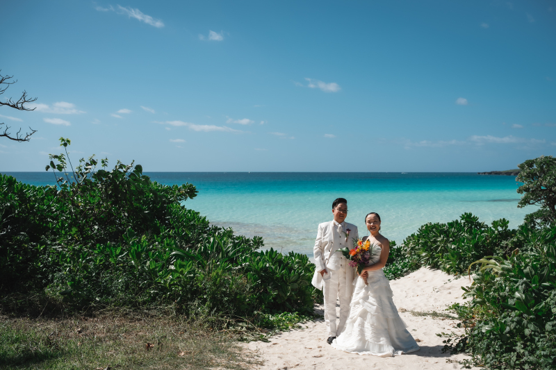 防砂林を入れて