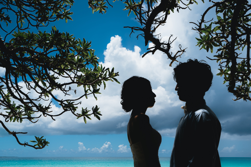 グリーンを入れたシルエットフォトでバリエーション