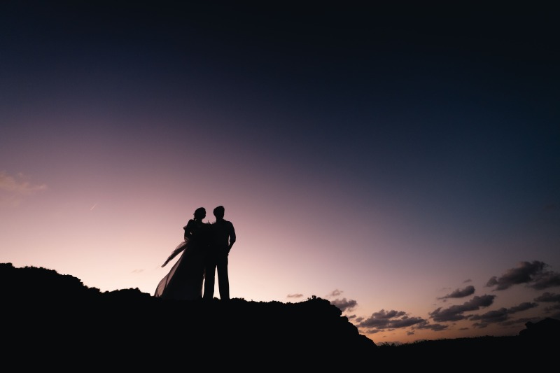 美しいシルエット