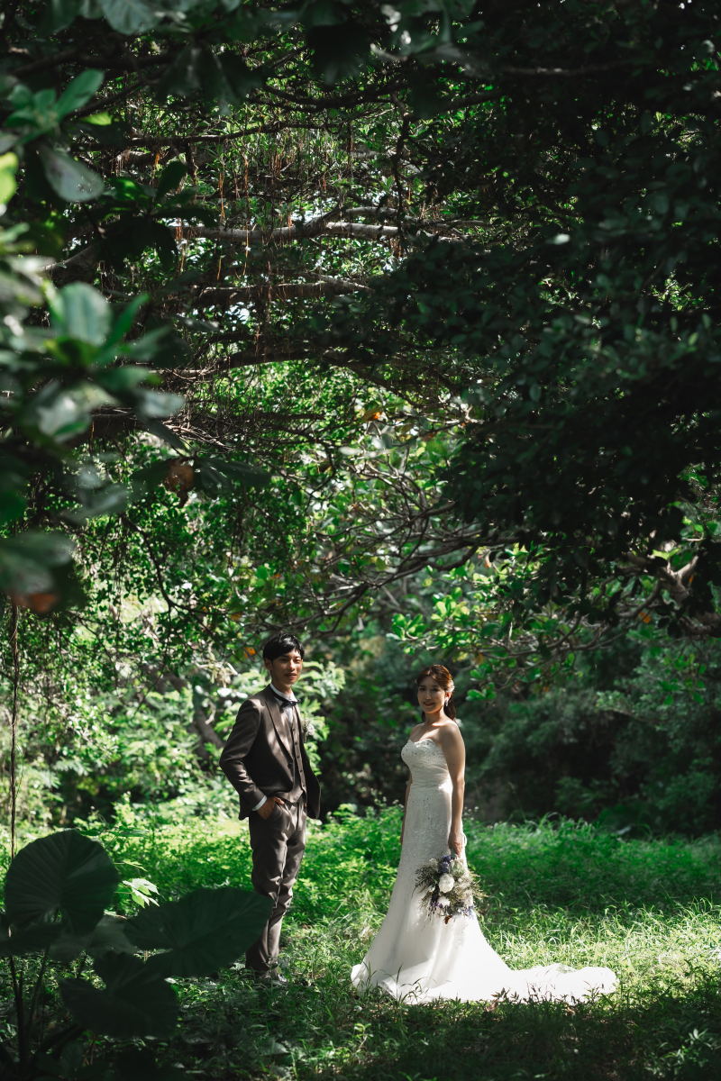 木漏れ日の中で