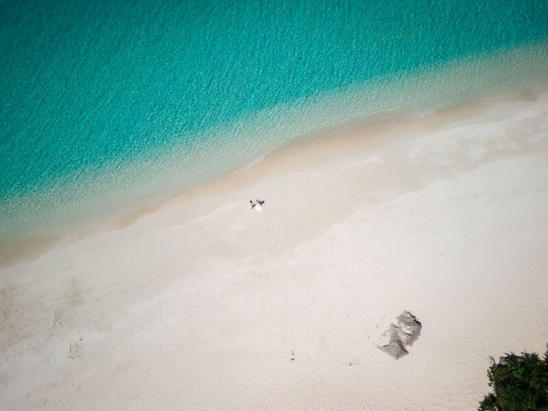 ライセンス保持者のプロによる撮影