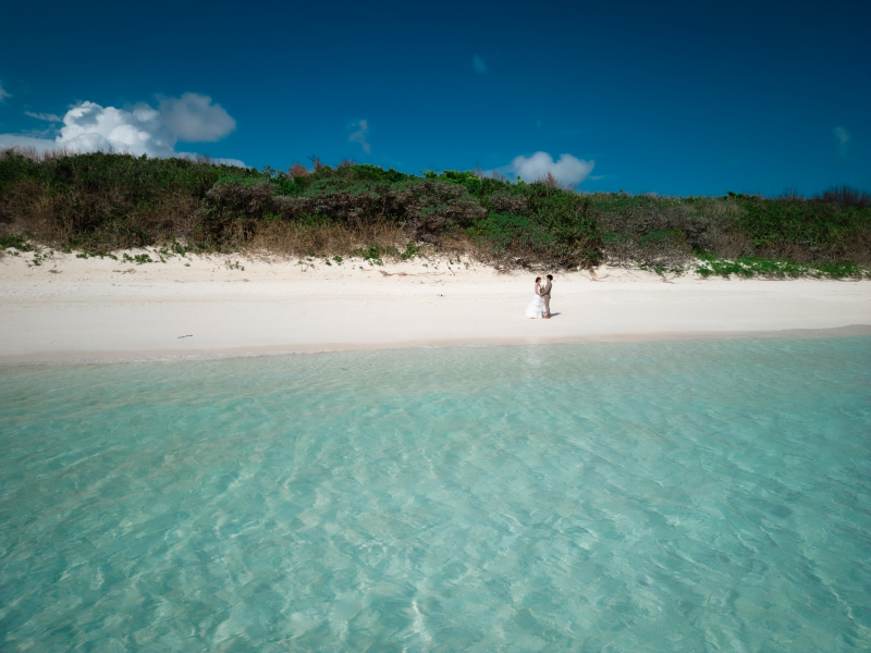 迫力の動画もお撮りします！