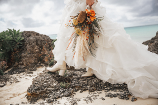 ALLデータ特急納品（7日以内）