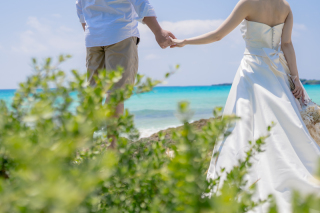 ドキュメンタリームービー（基本）