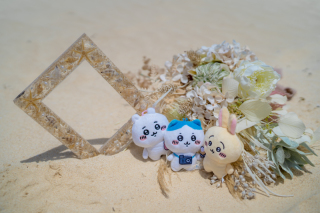 アイテム・小物撮り