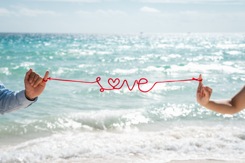 Point1 多彩な撮影シーン