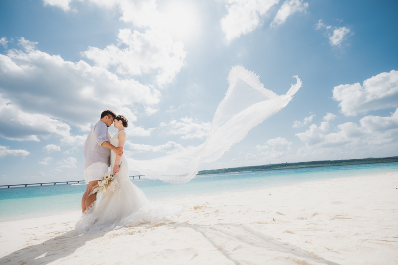 青と白の美しいコントラスト