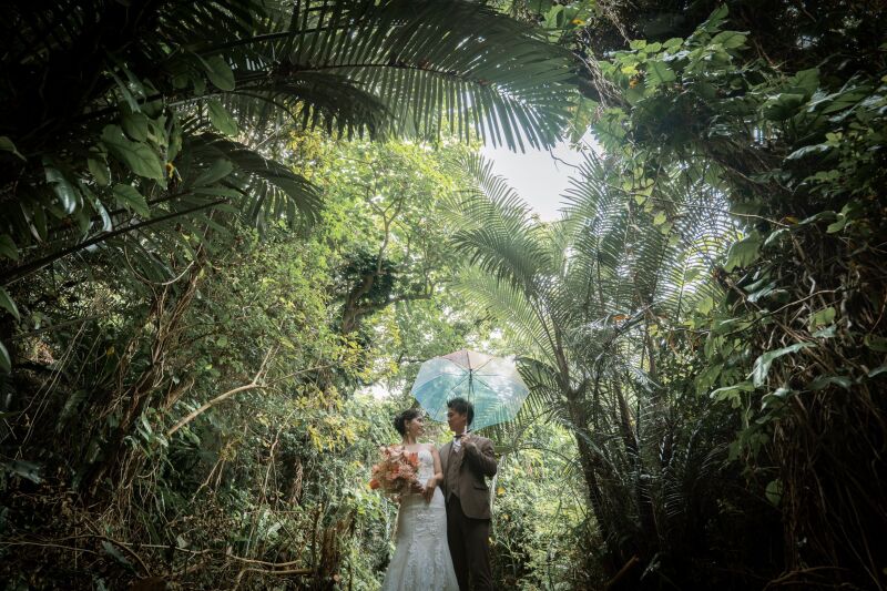 STUDIO BLUE MIYAKO_動画を作れる