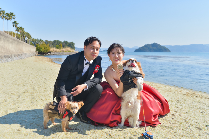 スタジオ・森園公園・ガラスの砂浜