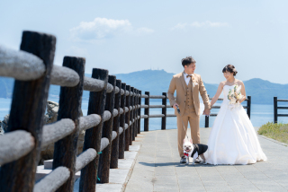  愛犬と歩む青空のウエディングロード