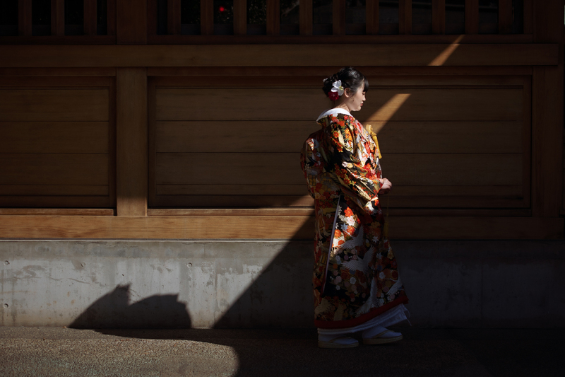 光と影が紡ぐ和の美学