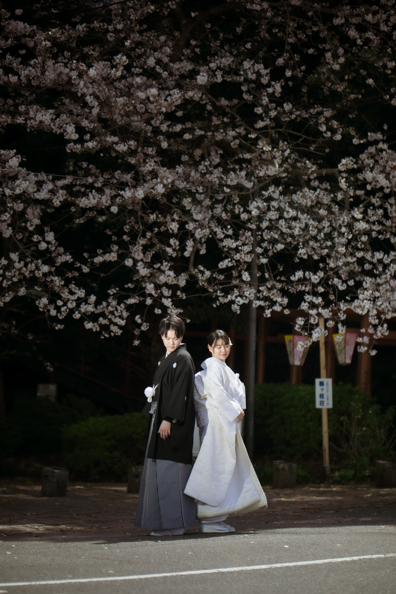 背中合わせの、やさしい約束