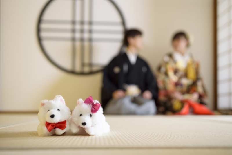 想いをつなぐ、やさしい時間