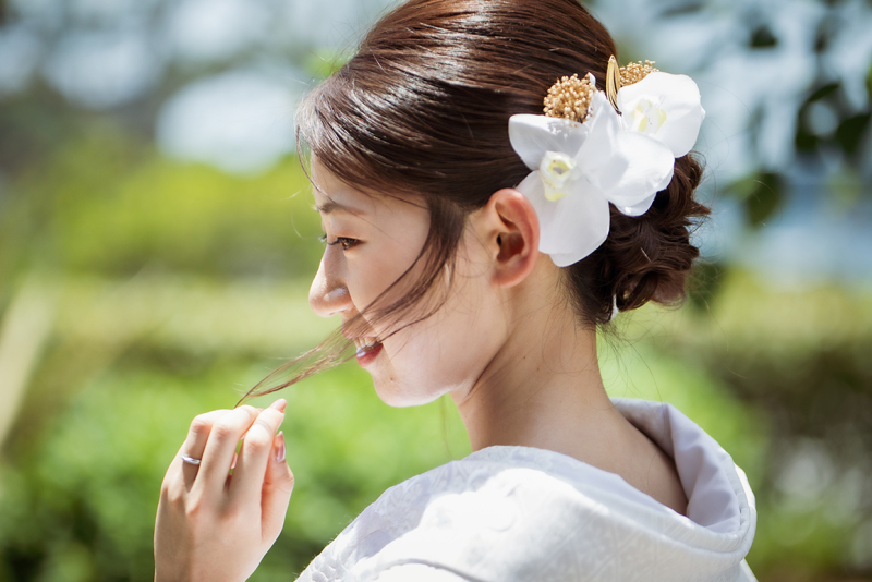 優しく揺れる夏の風