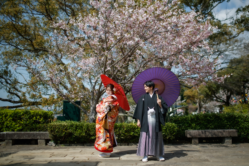 春風に舞う和の彩り