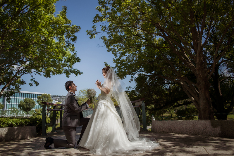 永遠のはじまりを、青空の下で。