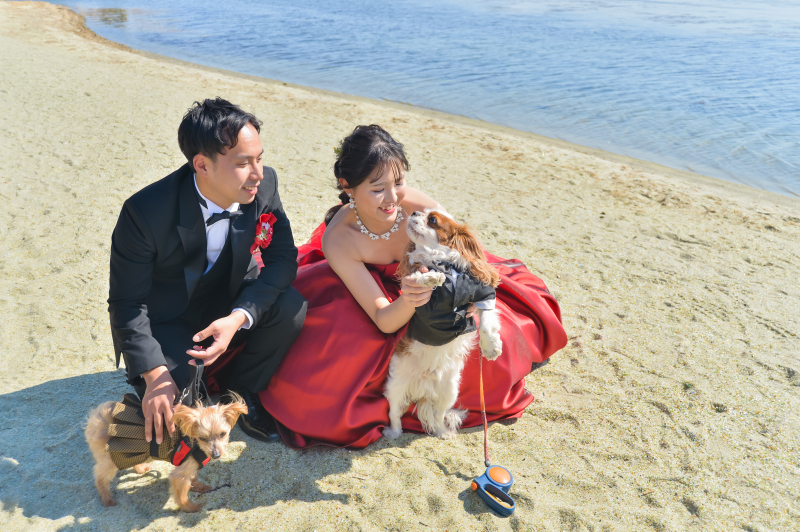 愛犬と一緒に残す、海辺のウェディングフォト