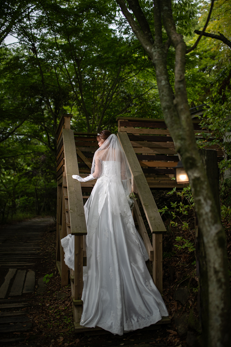 森の階段を一歩ずつ