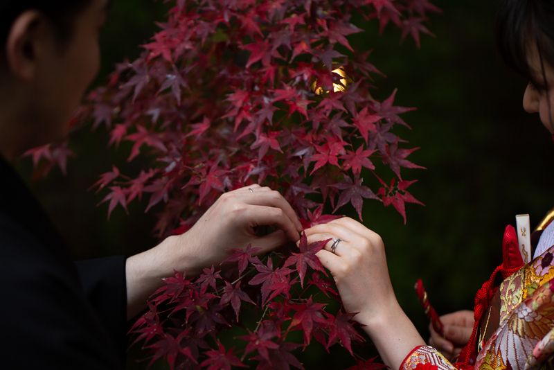 指先に宿る秋の想い