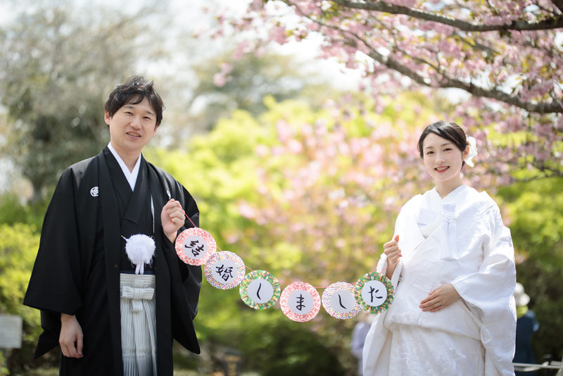 桜の下でご報告