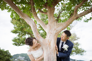 木の陰から覗く二人の微笑み