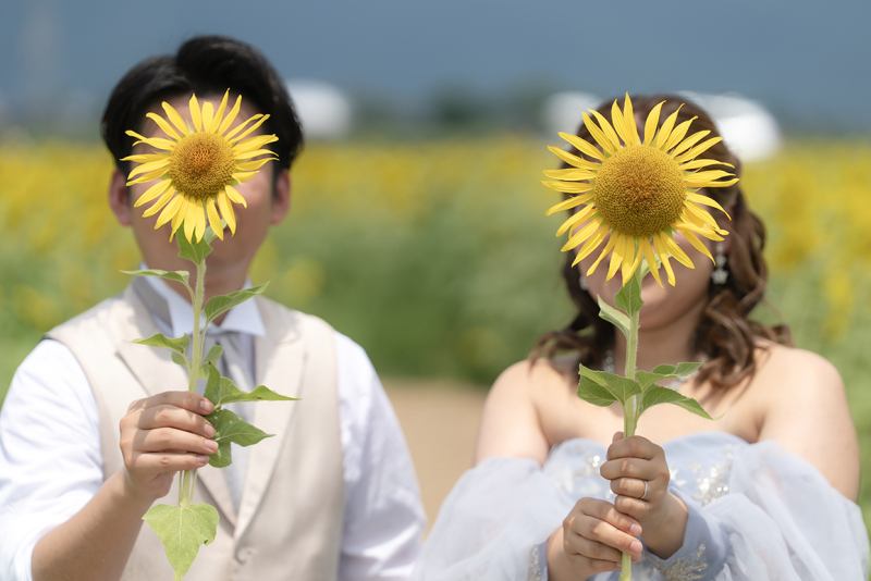 ひまわり越しのふたり