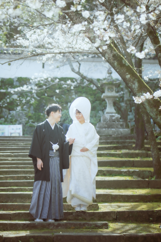 桜の下で誓う、やさしい未来