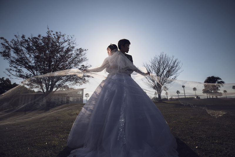 ひとつの光に包まれて