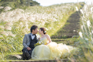 すすきの中で 光に溶けるふたり