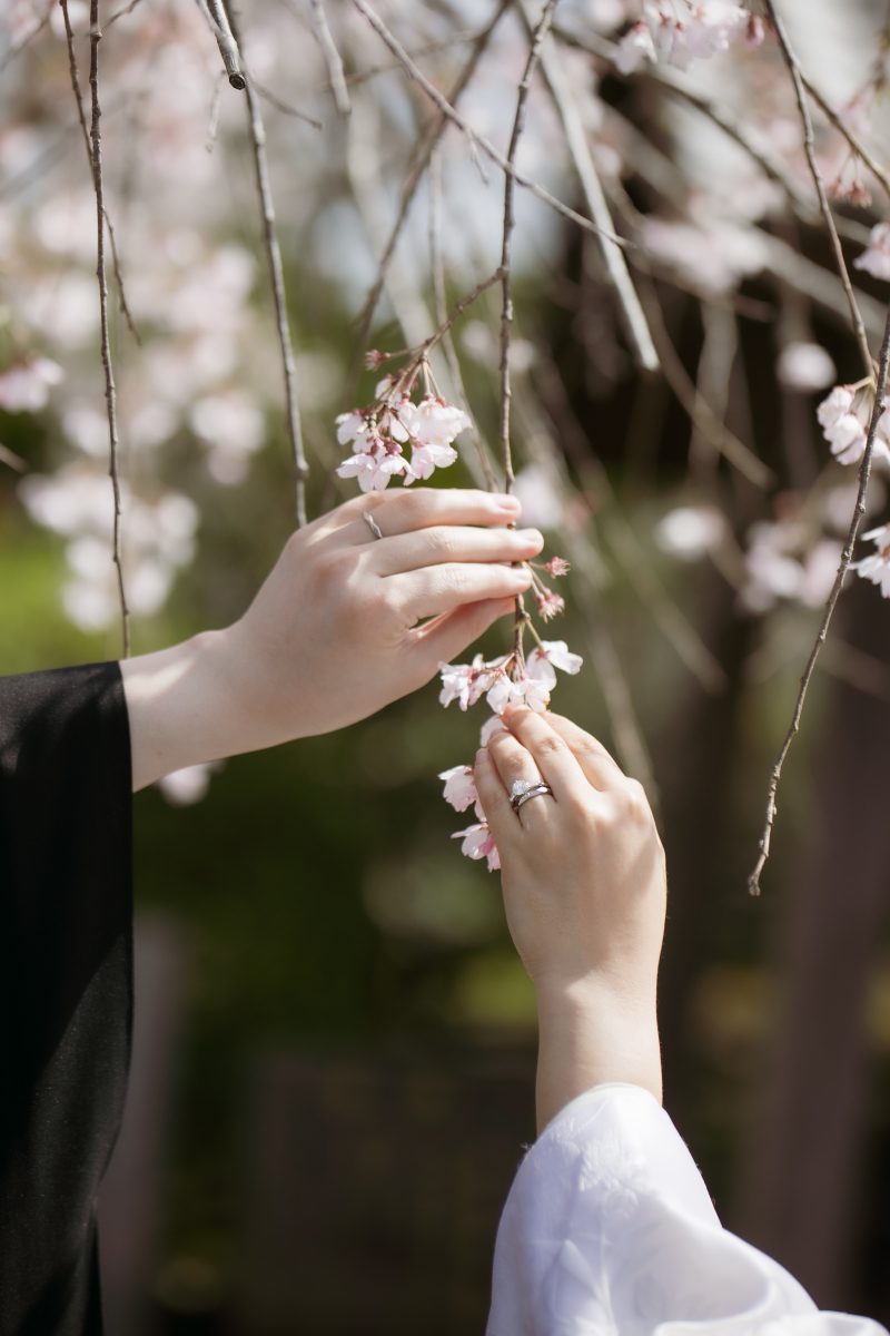 そっと触れた、春の約束