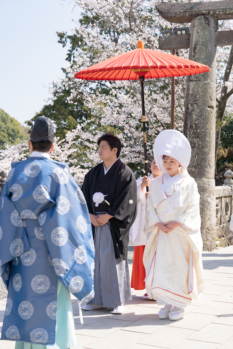 桜咲く春の挙式日和