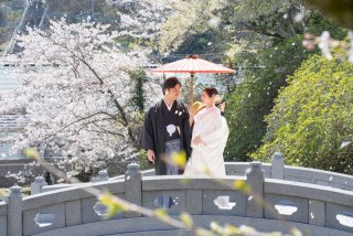 舞い散る桜とともに