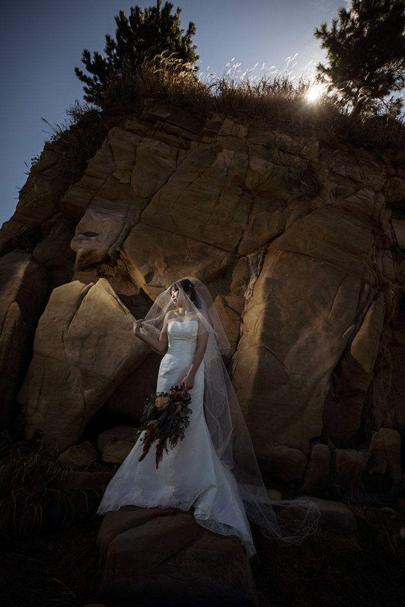 陽だまりの中の決意