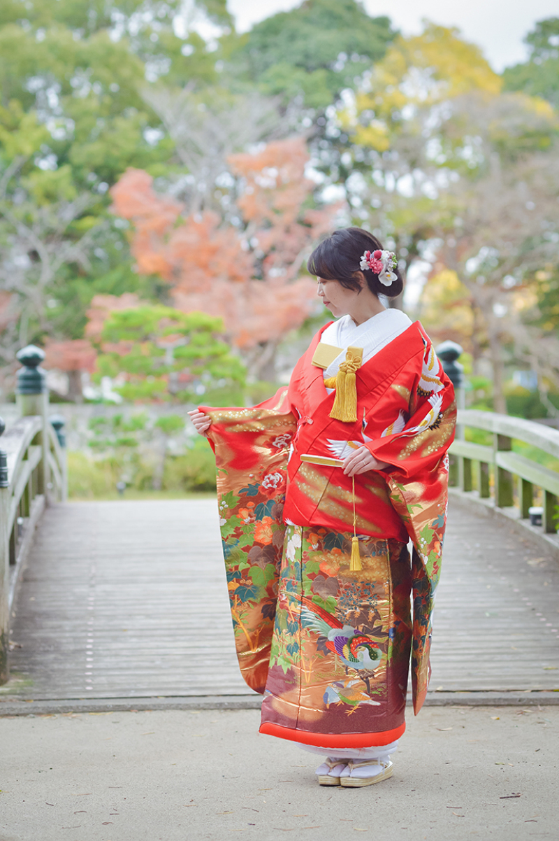 鶴と共に歩む未来