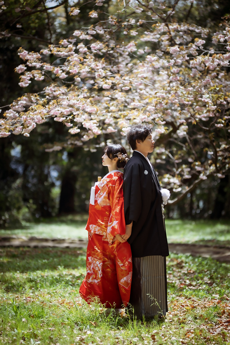 背中合わせの絆