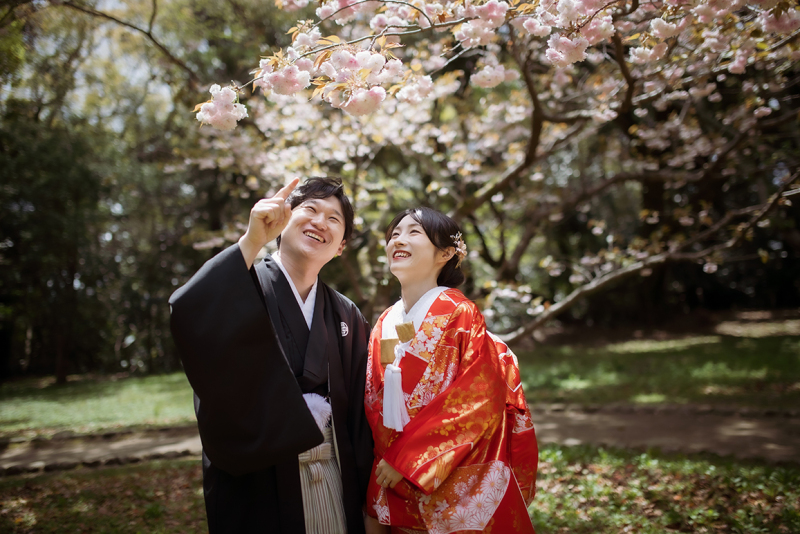 満開の桜と笑顔