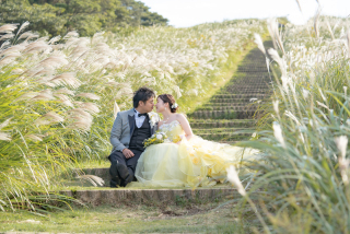 夢のような一日、自然と青空が祝福する愛の瞬間