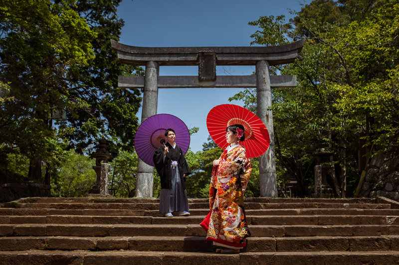 撮影スポットが豊富です。