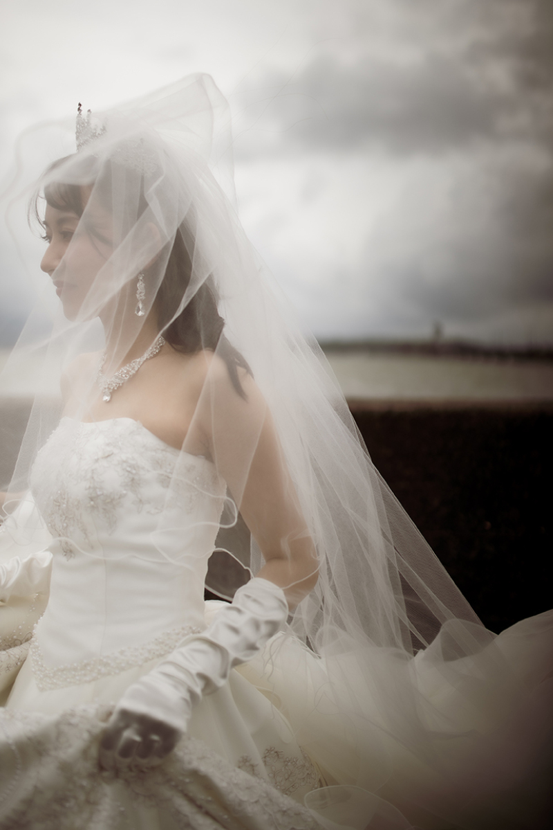 ベールに包まれた透明な美しさ