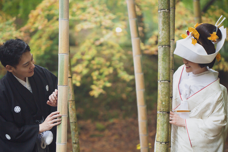 竹林でかくれんぼ