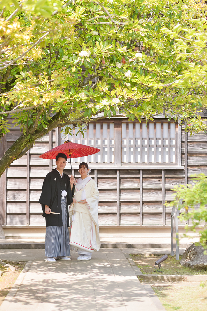 和の彩りの中で