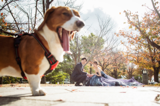 Bridal Pocket（ブライダルポケット）_長崎水辺の公園