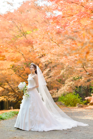 Bridal Pocket（ブライダルポケット）_紅葉