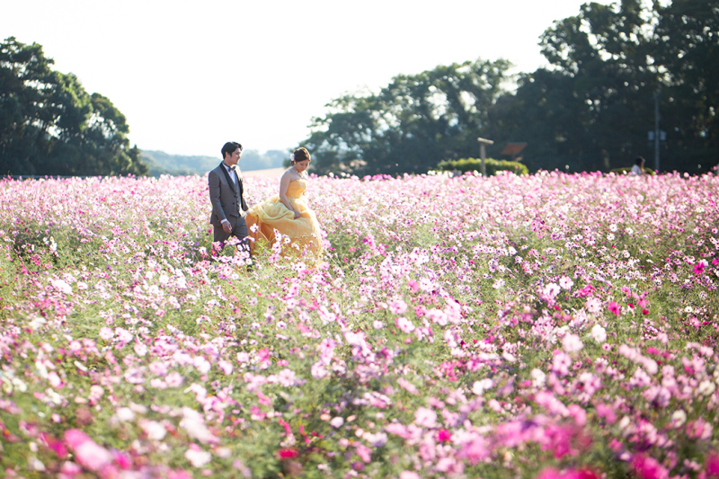 【洋装１着】展海峰ロケーションプラン　/　衣装1着・着付ヘアメイク・髪飾りアクセサリー・台紙・レタッチ込み